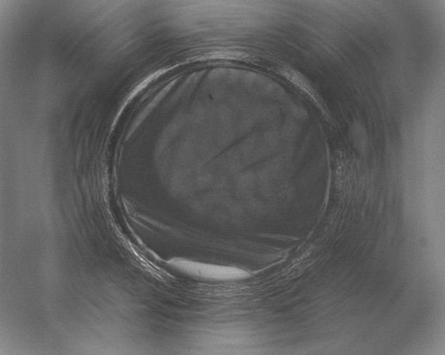 X0000054391024200508270028