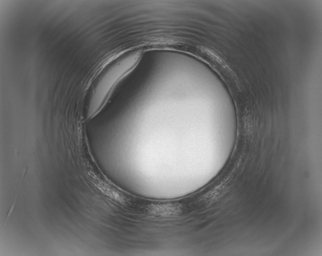 X0000054391025200508270028
