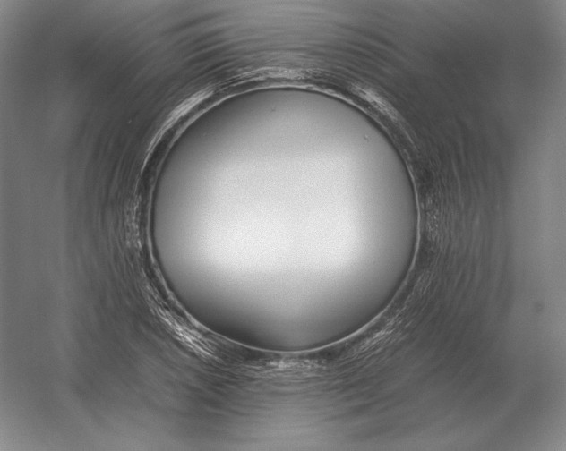 X0000054391026200508270028