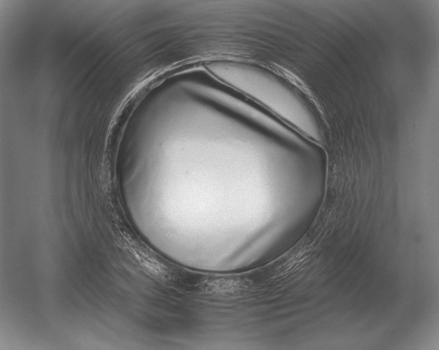 X0000054391027200508270028