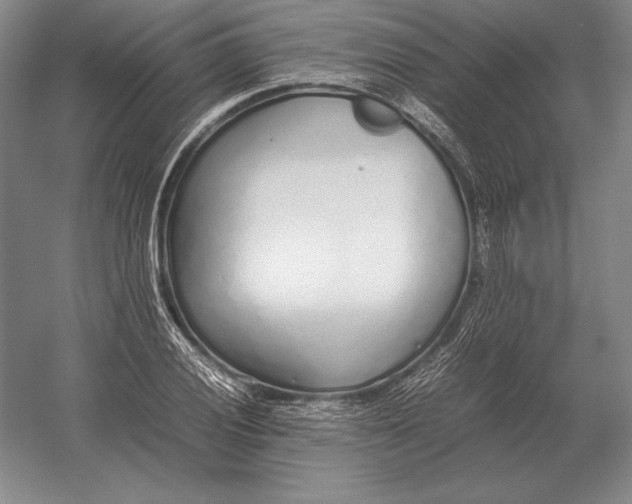 X0000054391028200508270028
