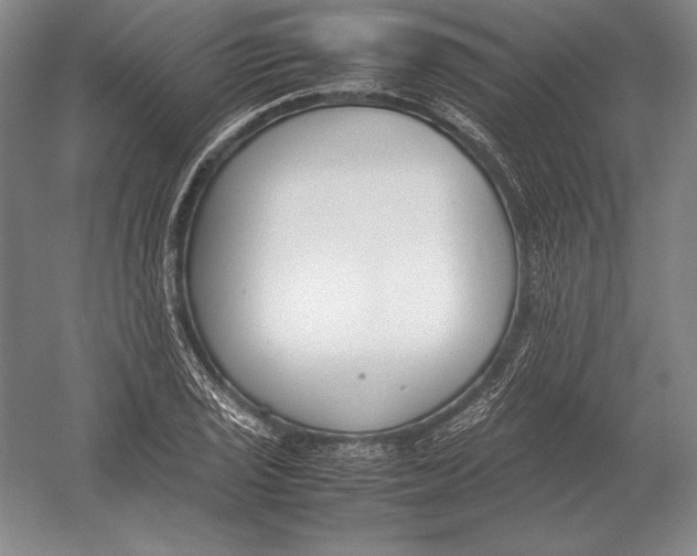 X0000054391029200508270028