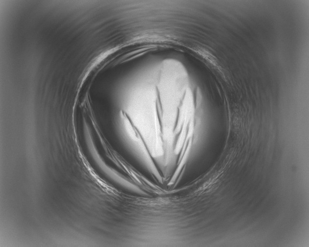 X0000054391030200508270028