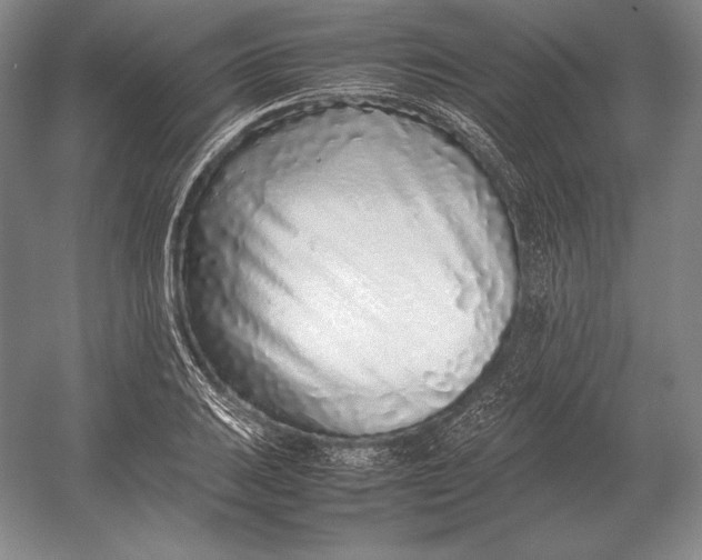 X0000054391031200508270028