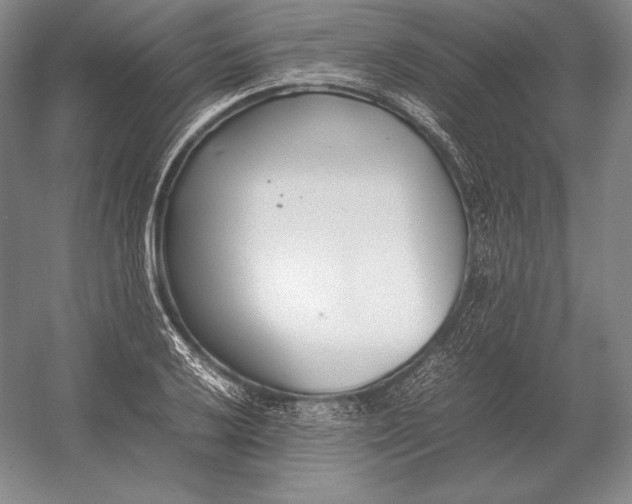 X0000054391032200508270028