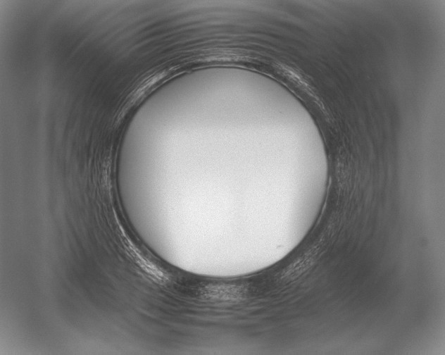 X0000054391033200508270028