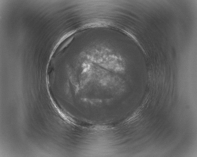 X0000054391034200508270028