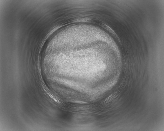 X0000054391035200508270028