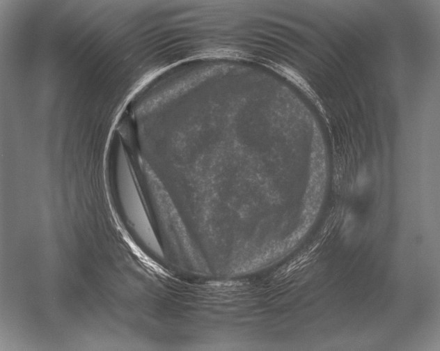 X0000054391037200508270028