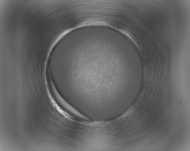 X0000054391038200508270028