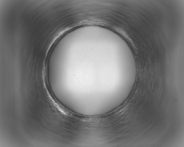 X0000054391040200508270028