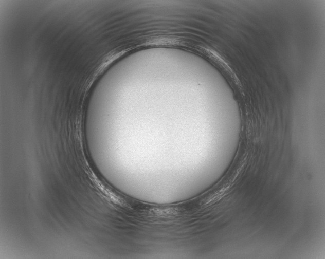 X0000054391041200508270028