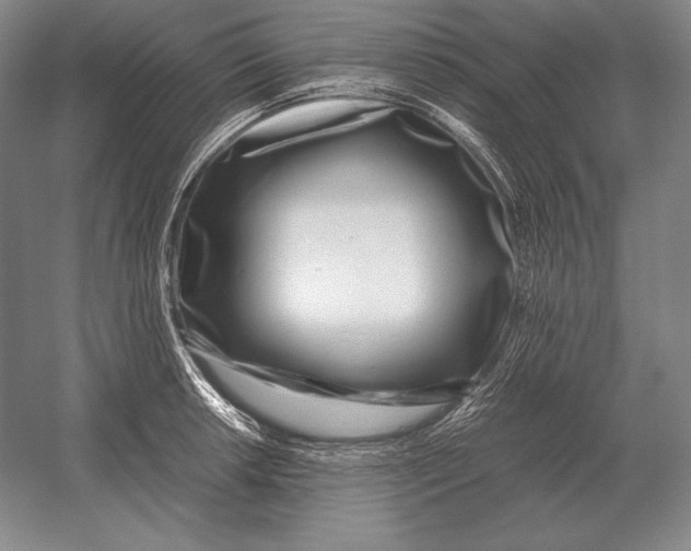 X0000054391042200508270028