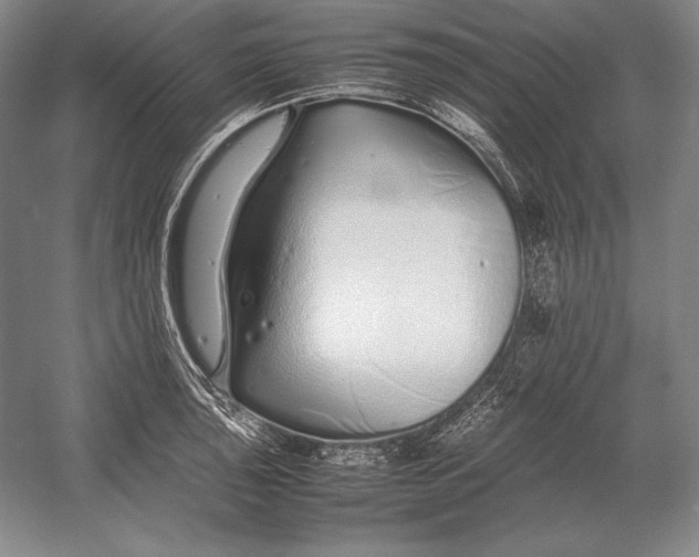 X0000054391043200508270029