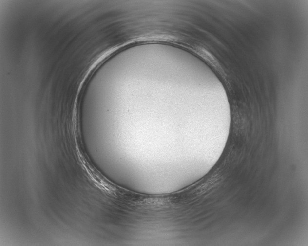 X0000054391044200508270029