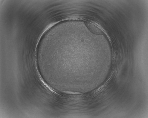X0000054391045200508270029