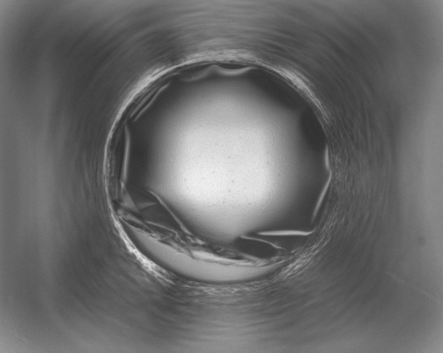 X0000054391046200508270029