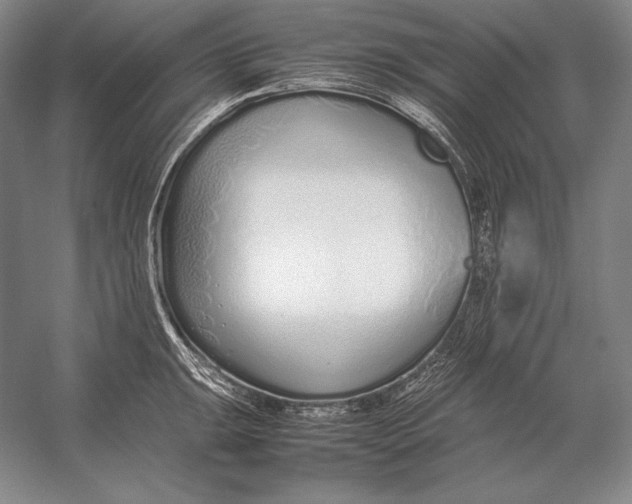 X0000054391047200508270029