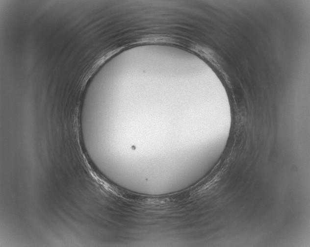 X0000054391049200508270029
