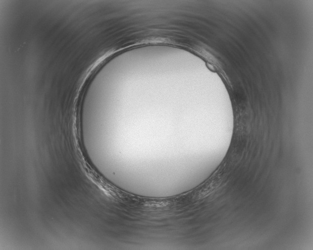 X0000054391051200508270029