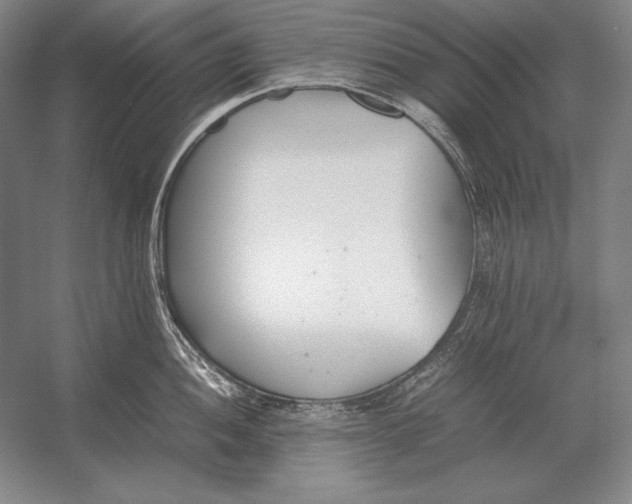 X0000054391052200508270029