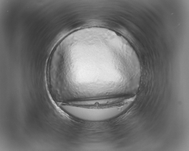 X0000054391055200508270029