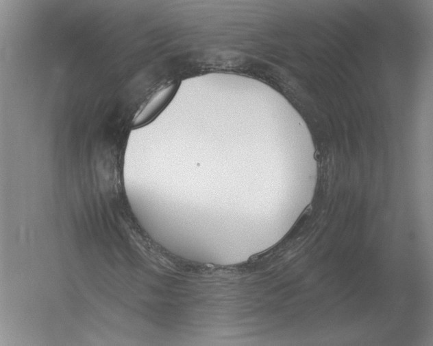 X0000054391058200508270028