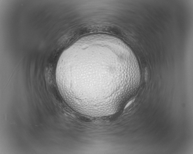 X0000054391059200508270028