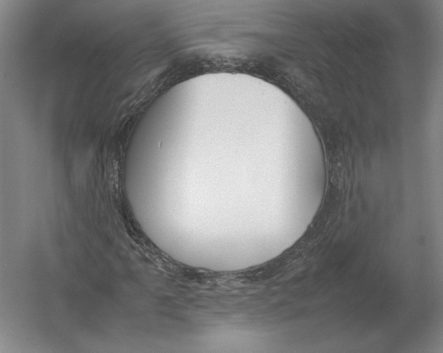 X0000054391061200508270028