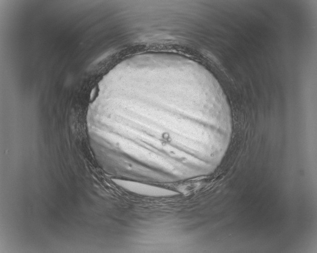 X0000054391063200508270028