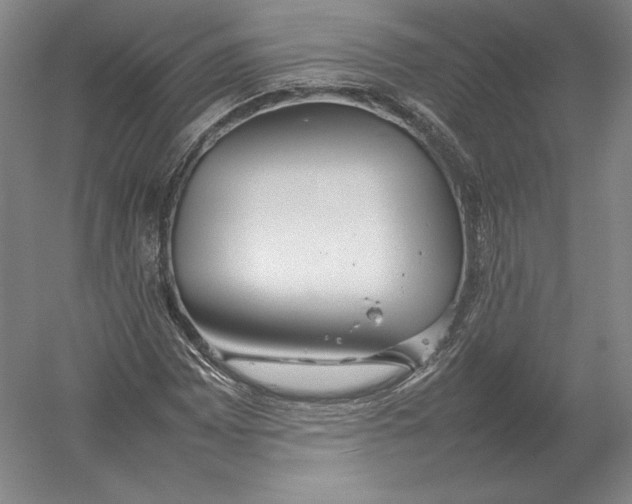 X0000054391065200508270028