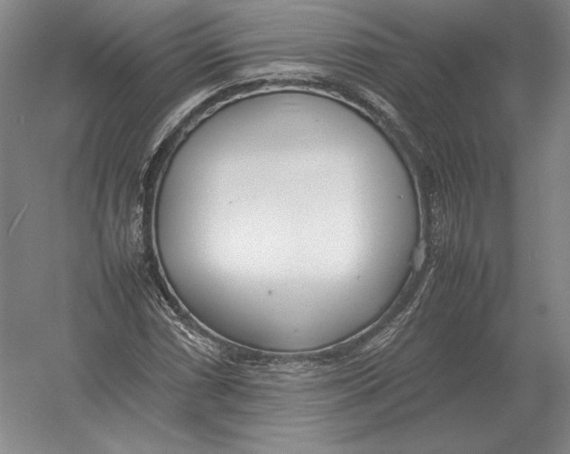 X0000054391066200508270028