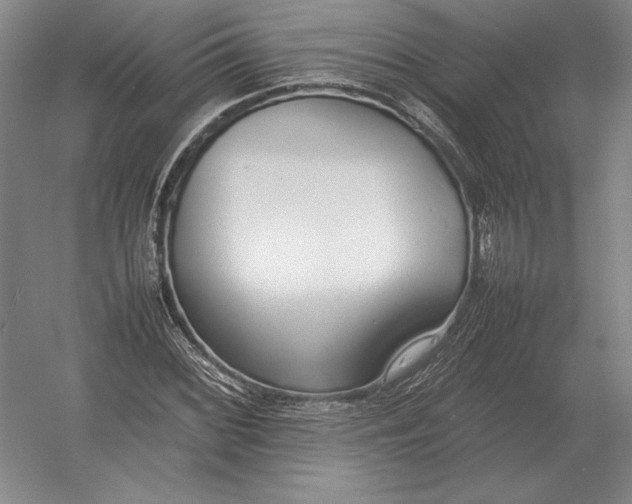 X0000054391068200508270028