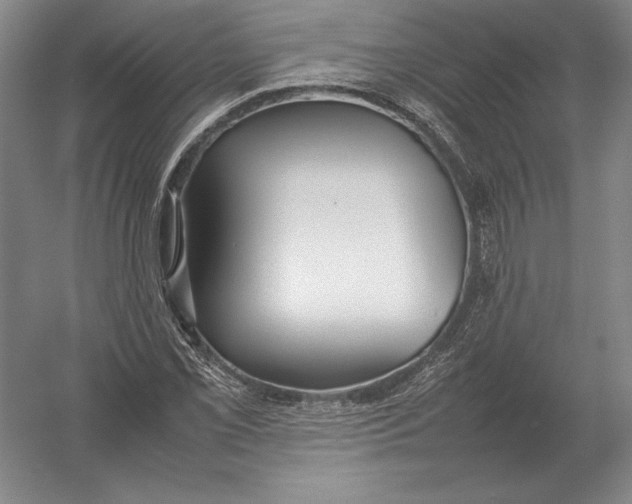 X0000054391069200508270028