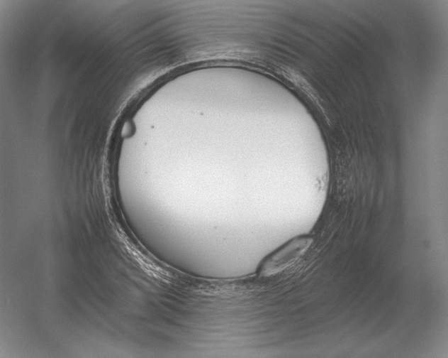 X0000054391072200508270028