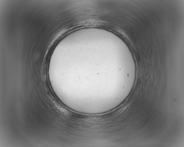 X0000054391075200508270028