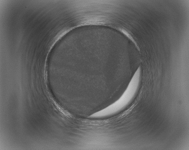 X0000054391077200508270028