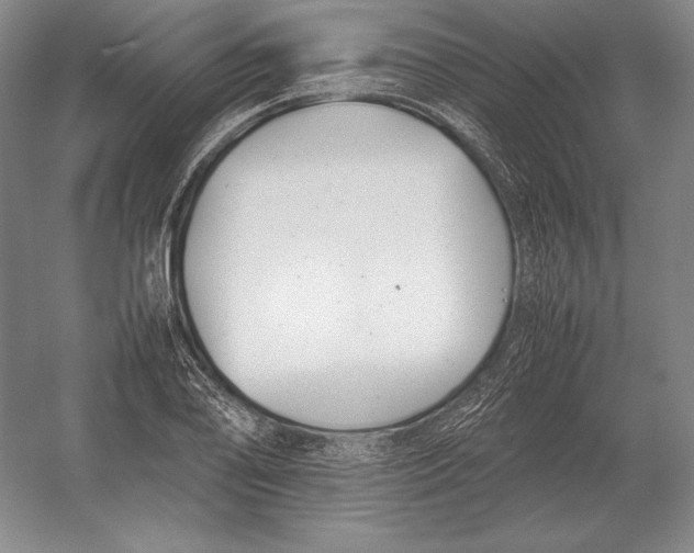 X0000054391078200508270028