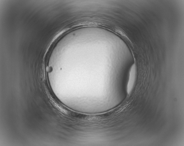 X0000054391079200508270028
