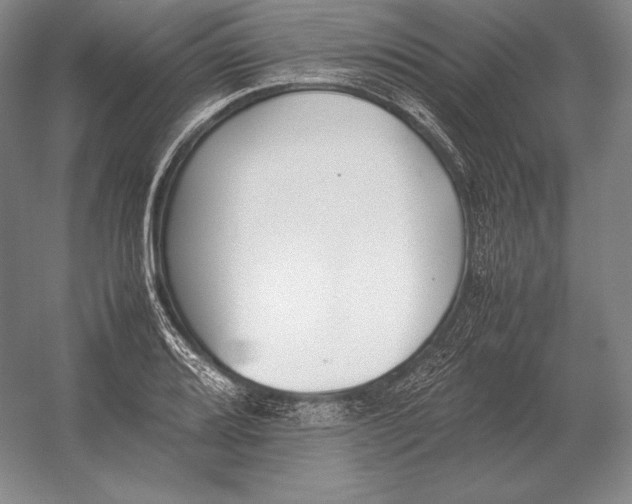 X0000054391080200508270028