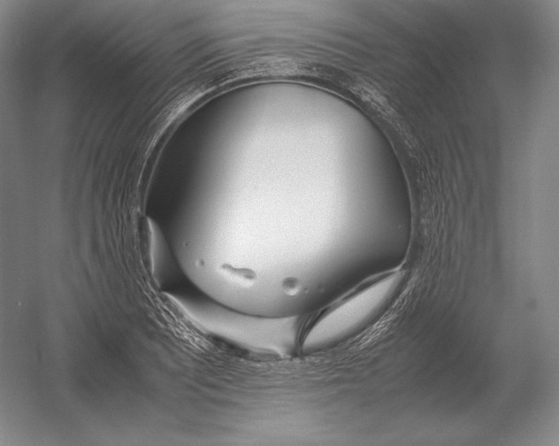 X0000054391081200508270027