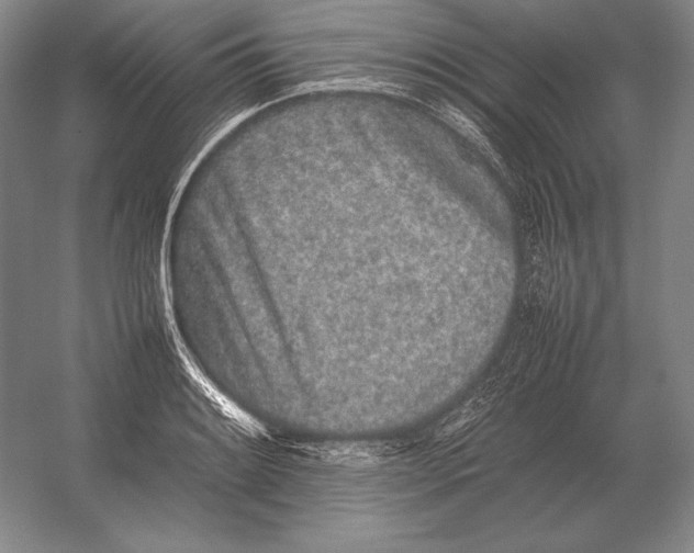 X0000054391084200508270027