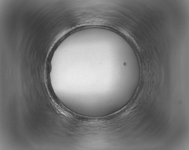 X0000054391085200508270027