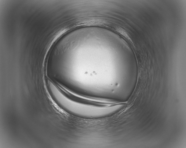 X0000054391087200508270027