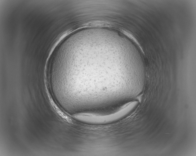 X0000054391091200508270027