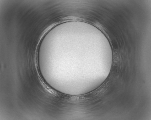 X0000054391098200508270027