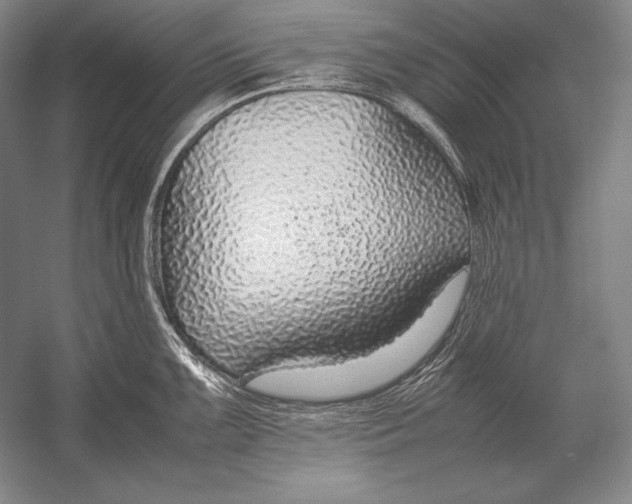 X0000054391099200508270027