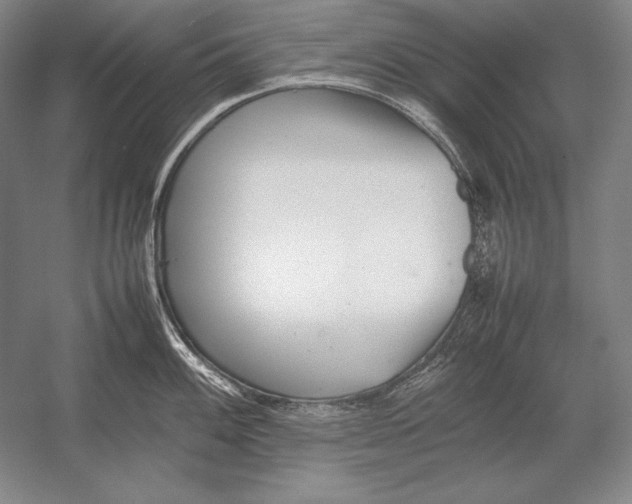X0000054391100200508270027