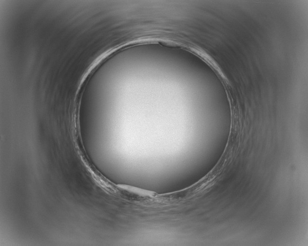 X0000054391101200508270027