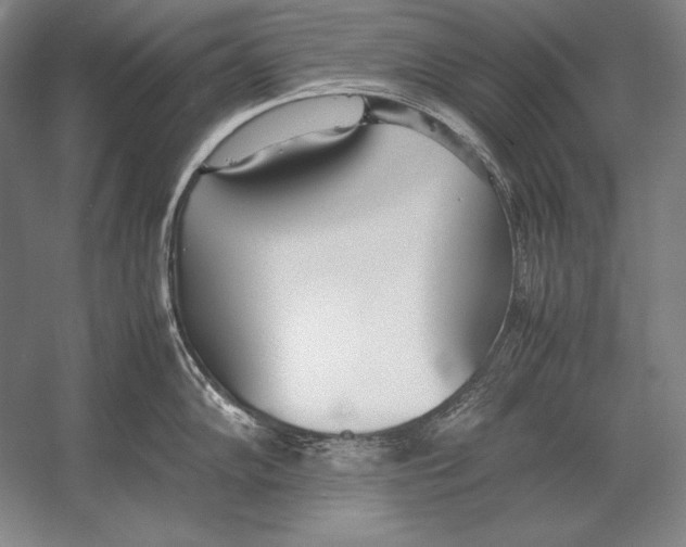X0000054391102200508270027